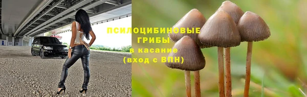 mdpv Богородск